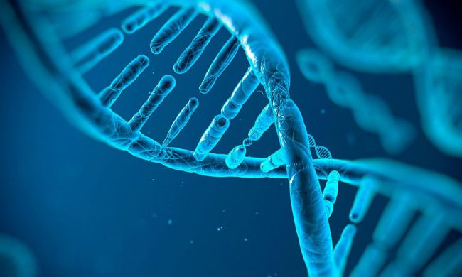 Фото - Учёные впервые отредактировали геном непосредственно внутри живого человека