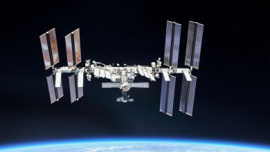 Фото - Москвичи смогут увидеть пролеты МКС над Землей