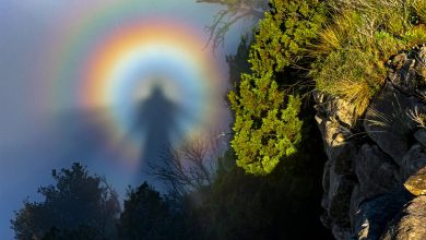 Фото - Снимок Броккенского призрака попал в шорт-лист конкурса метеорологического общества