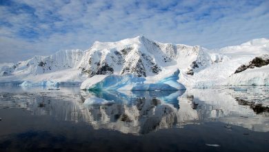 Фото - Ученые извлекли захороненную в Антарктиде «капсулу времени» возрастом 5 млн лет