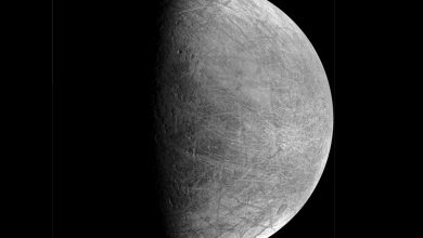 Фото - Аппарат Juno впервые сфотографировал спутник Юпитера Европу с близкого расстояния