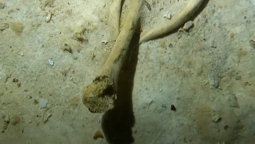 Фото - В затопленной пещере обнаружили 8000-летние останки человека