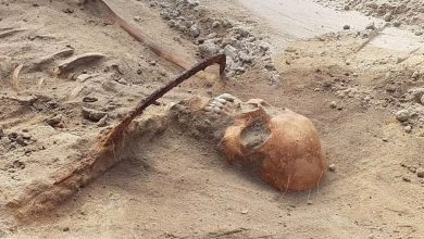 Фото - В Польше нашли похороненную женщину с серпом на горле, чтобы она не восстала из мертвых