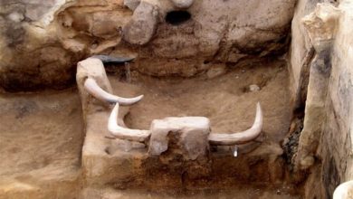 Фото - В Турции обнаружили святилище возрастом 8200 лет со скамьями с бычьими головами