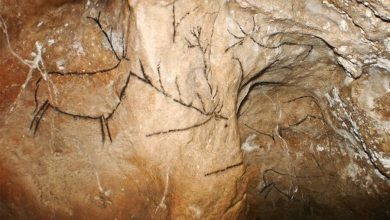 Фото - Археологи датировали наскальный рисунок оленя возрастом 19 тыс. лет