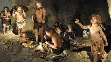 Фото - Биологи составили «генетический портрет» алтайских неандертальцев