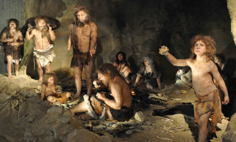 Фото - Биологи составили «генетический портрет» алтайских неандертальцев