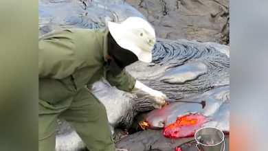 Фото - Опубликовано видео, как ученые черпают лаву в ведро после извержения вулкана