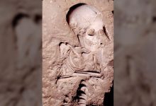 Фото - World Archaeology: ученые обнаружили череп, доказывающий существование древнего народа из легенд