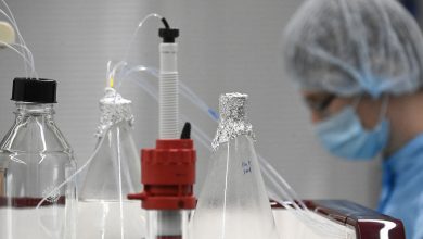Фото - Академик Гинцбург: технология создания мРНК-препаратов не перспективна