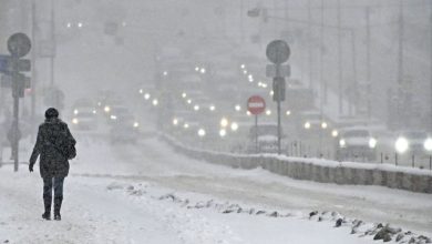 Фото - Экологи предсказали увеличение количества снегопадов на севере России