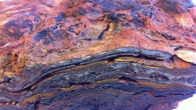 Фото - Геологи установили древнейшее свидетельство жизни на Земле