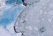 Фото - Океанографы обнаружили, что под ледниками Антарктики цветут колонии микроорганизмов