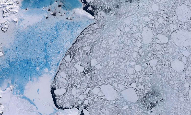 Фото - Океанографы обнаружили, что под ледниками Антарктики цветут колонии микроорганизмов