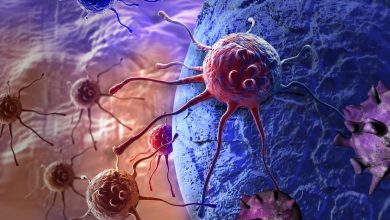 Фото - Онкологи нашли молекулы, блокировка которых может остановить рост раковой опухоли