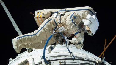 Фото - Работы по выходу в космос космонавтов РФ прекращены из-за неполадок со скафандром