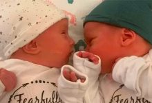 Фото - ScienceAlert: в США родились близнецы, замороженные 30 лет назад на эмбриональной стадии