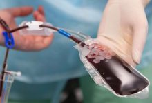 Фото - Трансфузиолог Гапонова объяснила, чем выращенная в лаборатории кровь лучше искусственной